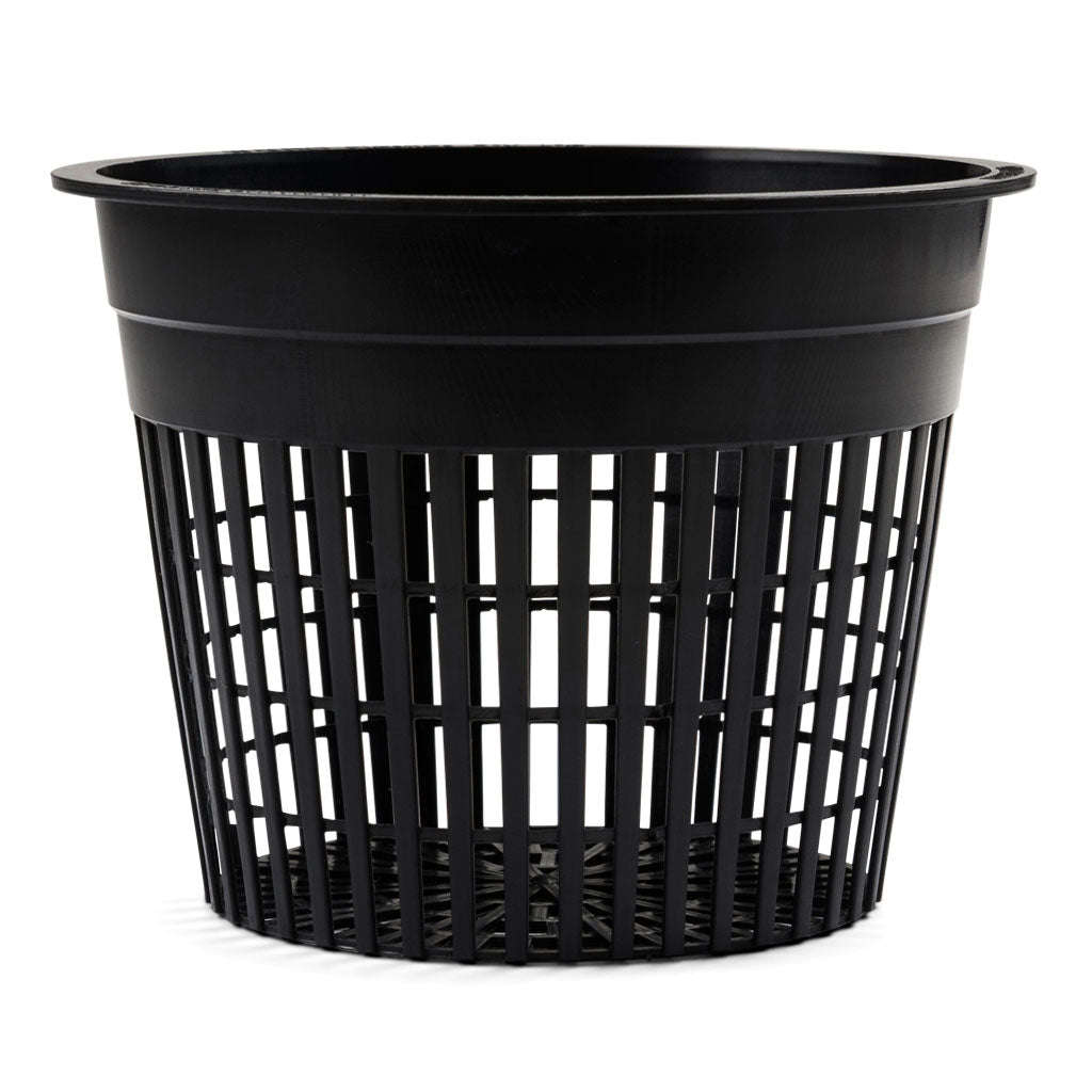 Plastic Growing Container, Colander Type, 12.5cm - 1Pc. Single.