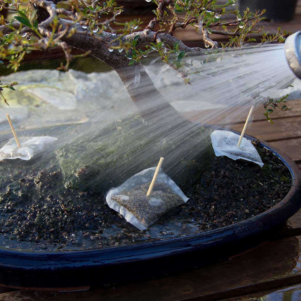 BonsaiBoost, Organic Bonsai Fertilizer - Single bag containing 20 x 12g sachet