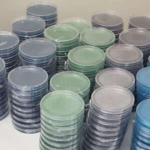Pre Poured Agar Plates - 10