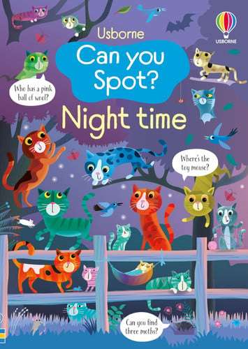 Can You Spot: Night Time