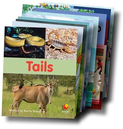 Fs Student Decodable Book Pack 5