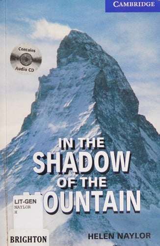 In the Shadow of the Mountain Level 5