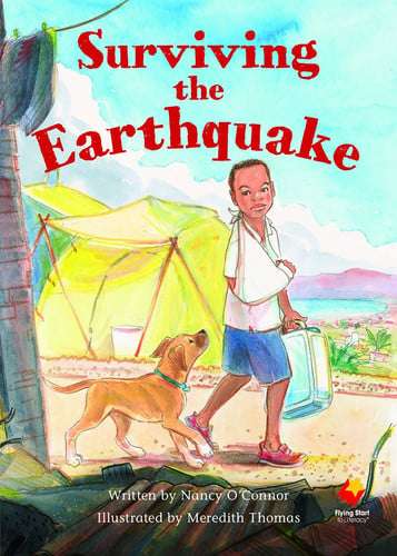 Fs Surviving The Earthquake