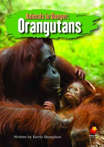 Fs Sb G5T Animals In Danger: Orangutans