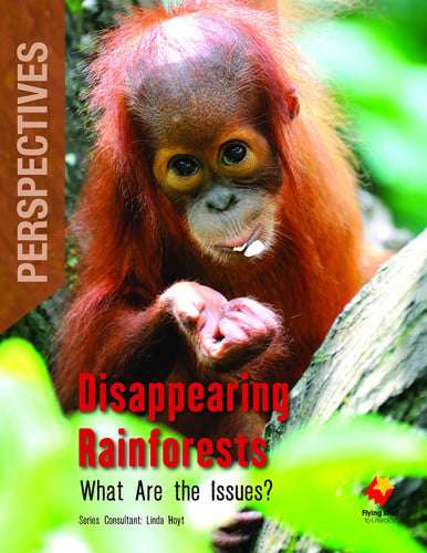 Fs Pb G5Tv Disappearing Rainforests
