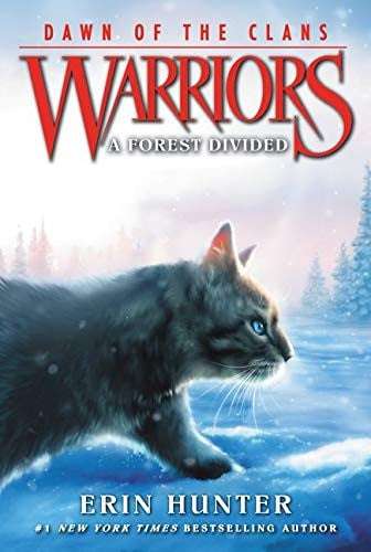 Warriors Dawn Of Clans 5 Forest Divided