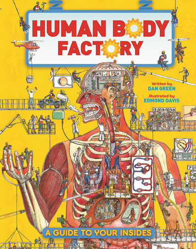 Human Body Factory Pb