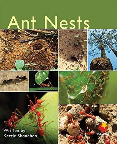 Fs Ant Nests L5