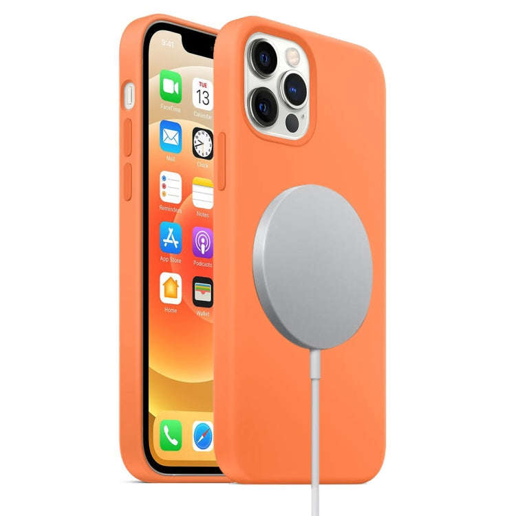 Magnetic Liquid Silicone Full Coverage Shockproof Case with Magsafe Charging Magnet, For iPhone 1...