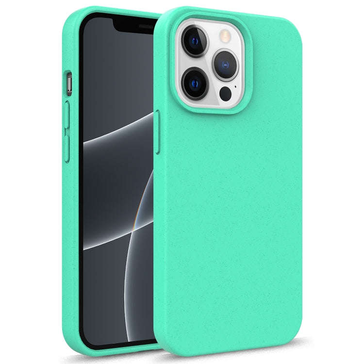 Starry Series Shockproof Straw Material + TPU Protective Case, For iPhone 13 Pro, For iPhone 13, ...