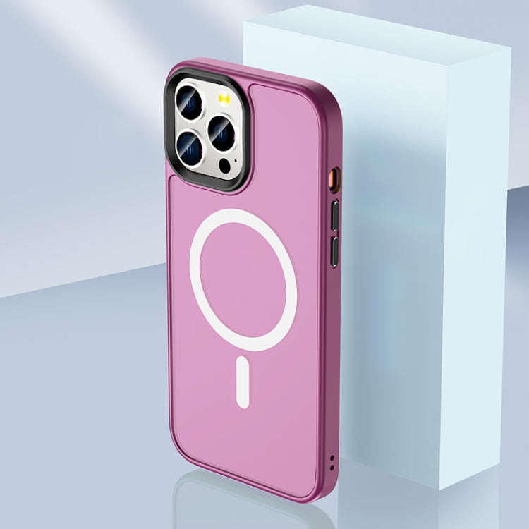 Skin Feel TPU + Frosted PC MagSafe Phone Case, For iPhone 11 Pro Max, For iPhone 11 Pro, For iPho...