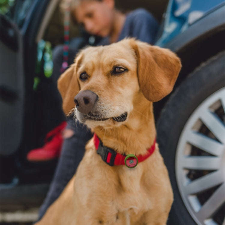 Dog Collar Shockproof Protective Case For AirTag 2nd Gen / AirTag 1st Gen