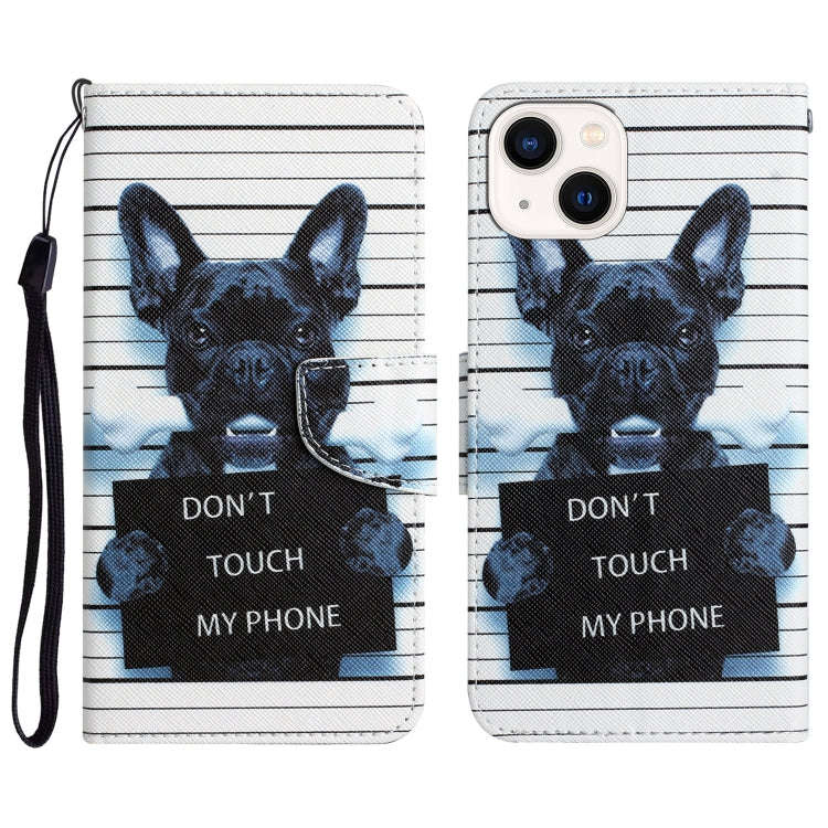 Colored Drawing Leather Phone Case, For iPhone 14, For iPhone 14 Plus, For iPhone 14 Pro