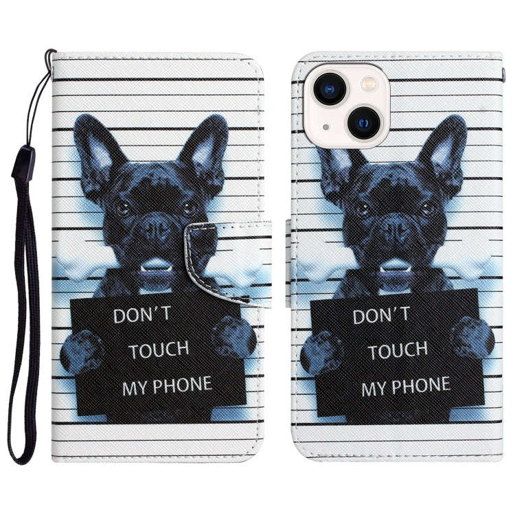 Colored Drawing Leather Phone Case, For iPhone 14 Pro Max, For iPhone 13, For iPhone 13 mini