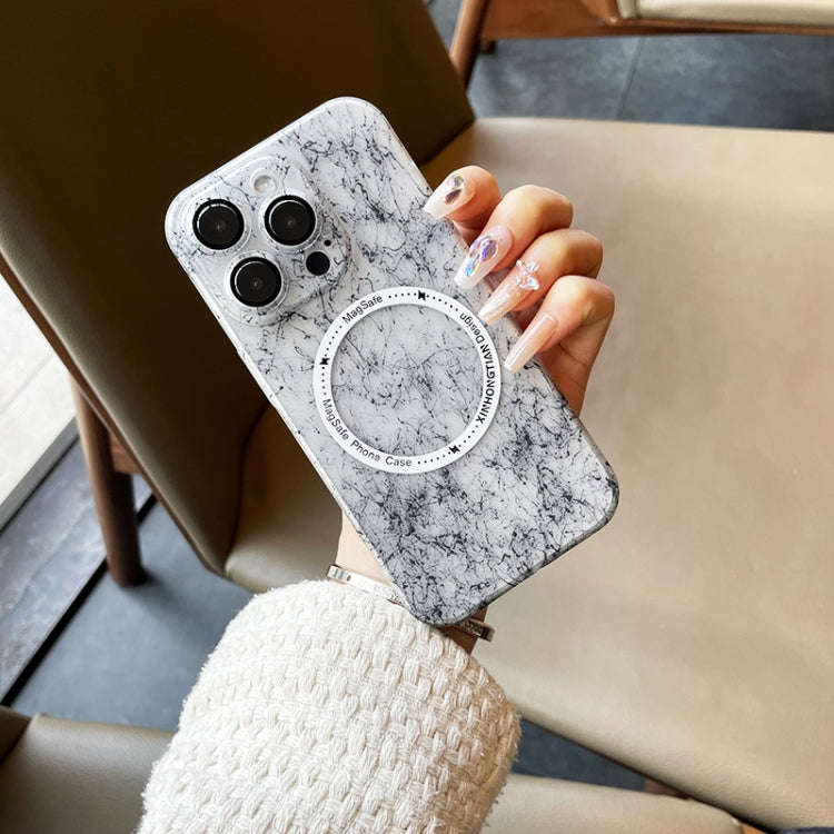 Silk Ink Pattern MagSafe PC Phone Case, For iPhone 12, For iPhone 11 Pro Max, For iPhone 11
