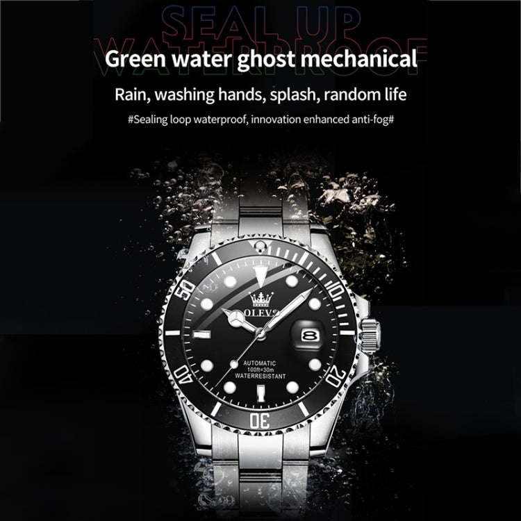 OLEVS 6650 Men Luminous Waterproof Mechanical Watch