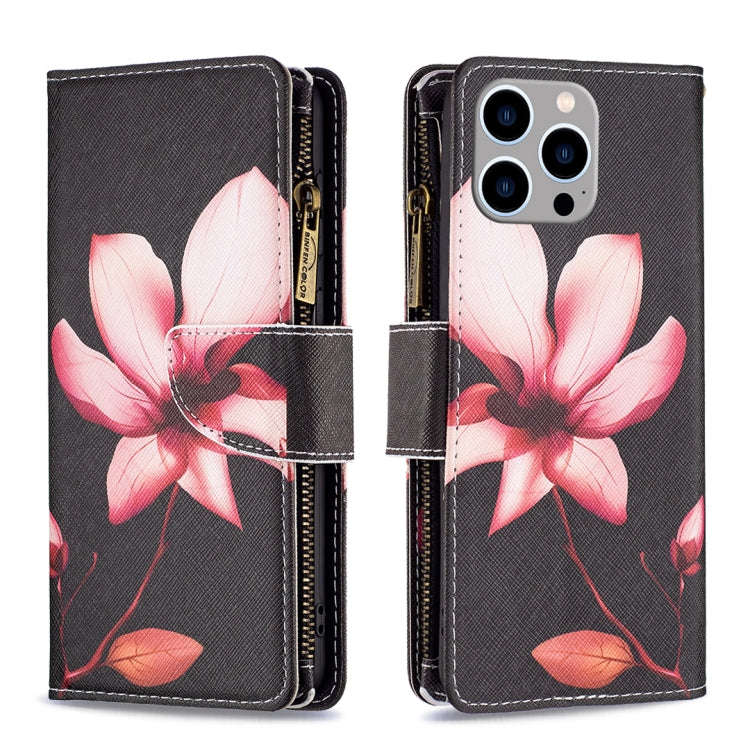 Colored Drawing Pattern Zipper Phone Leather Case, For iPhone 16 Pro Max, For iPhone 16 Pro, For ...