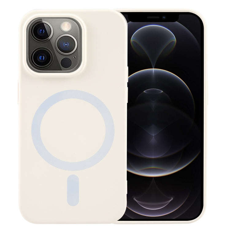 MagSafe Liquid Silicone Phone Case, For iPhone 12 Pro, For iPhone 11 Pro Max, For iPhone 11, For ...