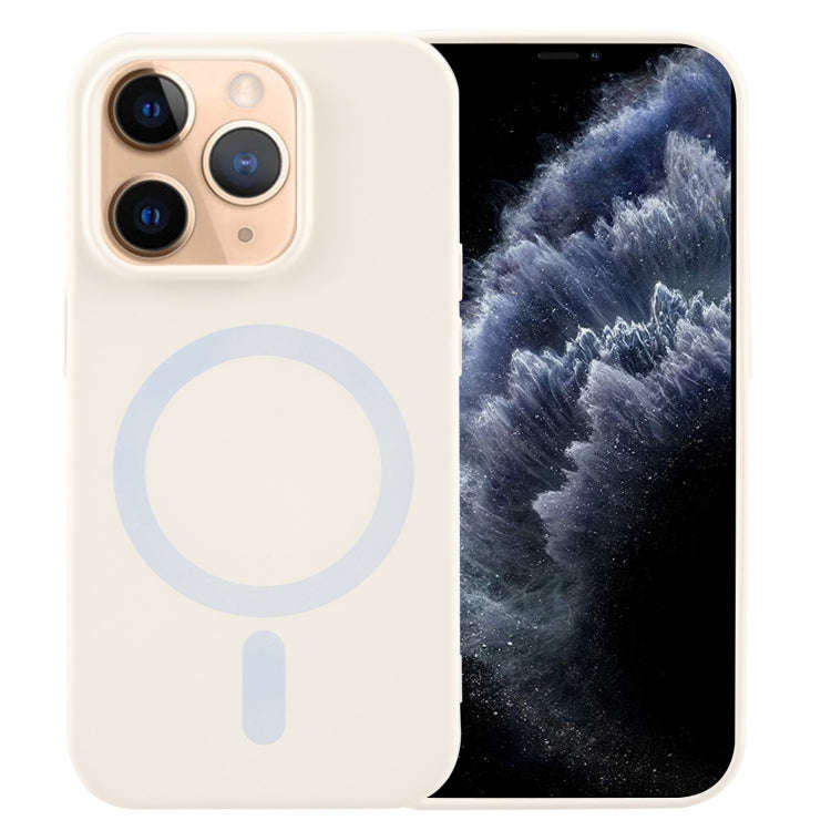 MagSafe Liquid Silicone Phone Case, For iPhone 12 Pro, For iPhone 11 Pro Max, For iPhone 11, For ...