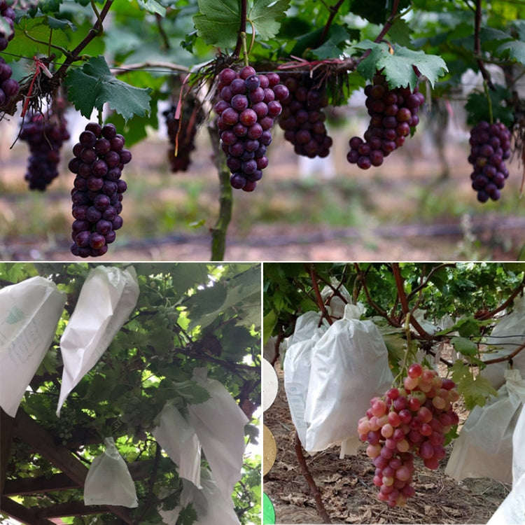 100pcs Waterproof Grape Packaging Bag Paper Bag Fruit Protective Bag, 20x28, 22x31, 25x34, 28x36,...