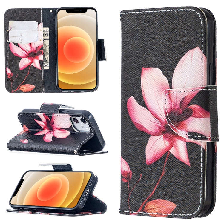 Colored Drawing Pattern Horizontal Flip Leather Case with Holder & Card Slots & Wallet, For iPhon...
