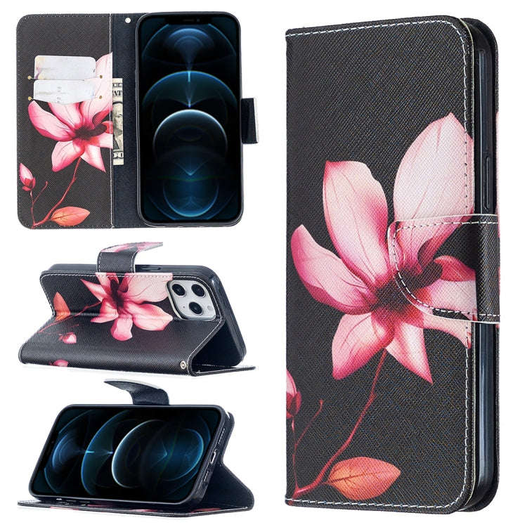 Colored Drawing Pattern Horizontal Flip Leather Case with Holder & Card Slots & Wallet, For iPhon...