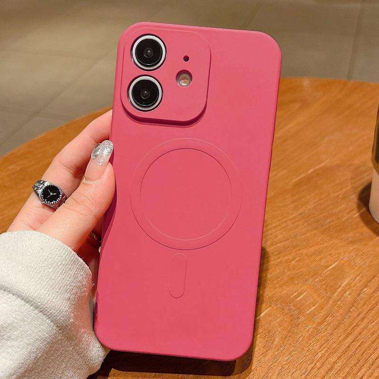 Solid Color Liquid Silicone MagSafe Magnetic Phone Case, For iPhone 11, For iPhone 11 Pro