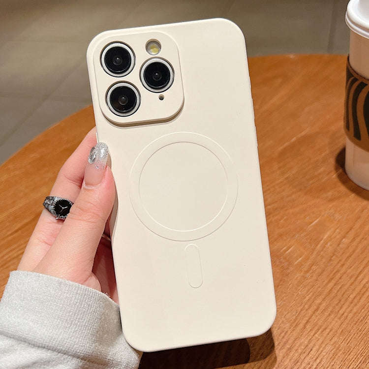 Solid Color Liquid Silicone MagSafe Magnetic Phone Case, For iPhone 11, For iPhone 11 Pro