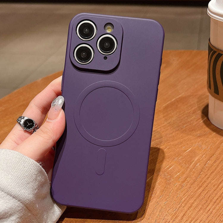 Solid Color Liquid Silicone MagSafe Magnetic Phone Case, For iPhone 11, For iPhone 11 Pro