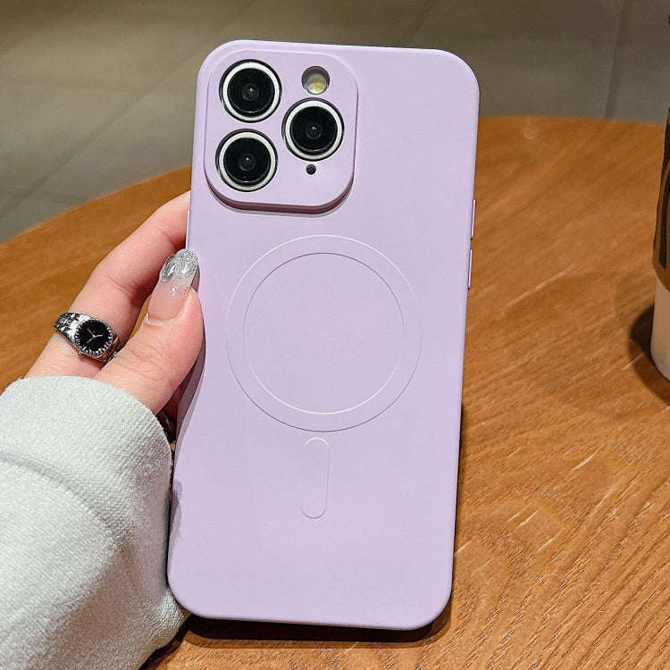 Solid Color Liquid Silicone MagSafe Magnetic Phone Case, For iPhone 11, For iPhone 11 Pro