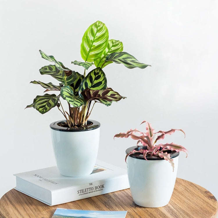 Lazy Flower Pots Automatic Water-absorbing Hydroponic Potted Plants Circular Resin Plastic Flower...