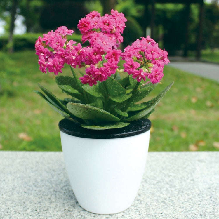 Lazy Flower Pots Automatic Water-absorbing Hydroponic Potted Plants Circular Resin Plastic Flower...