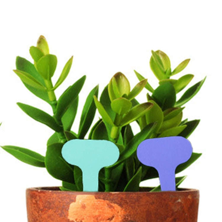 100PCS Floral Label Gardening Label Waterproof small card Insert Label Potted Label,Random Color ...