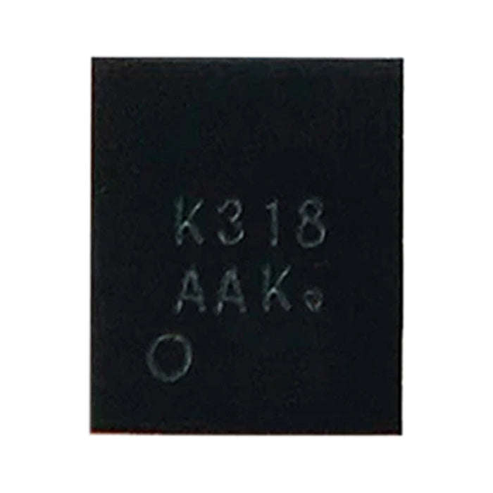 Audio IC Module K318, K318