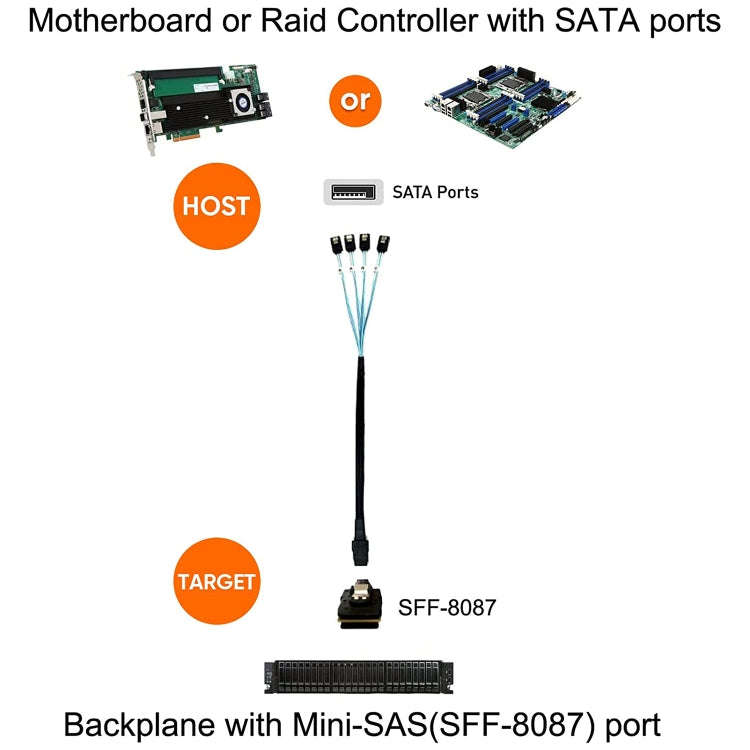 Mini SAS (SFF-8087) to 4 x SATA 7-Pin Female Forward Breakout 6Gbps Data Cable, Length: 50cm, SFF...