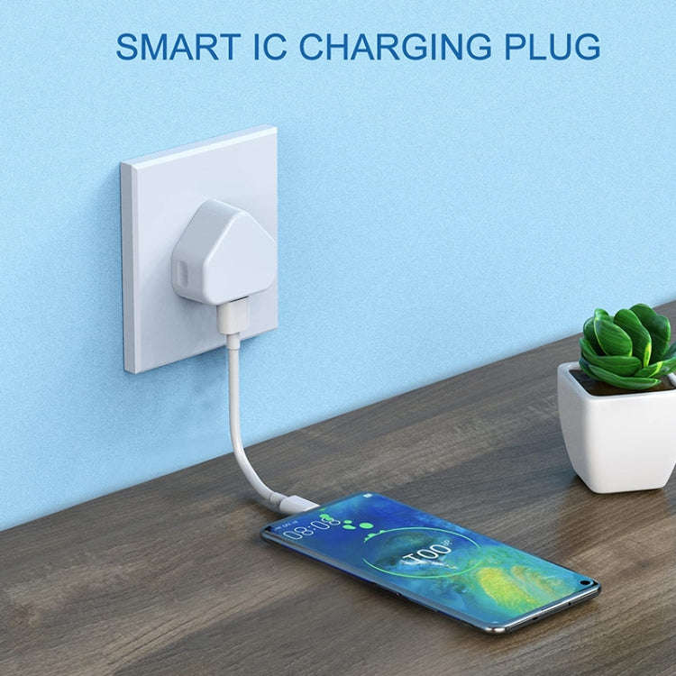 5V / 1A UK Plug USB Charger