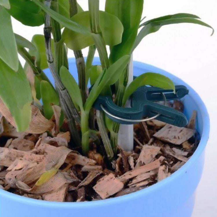 Plastic Plant Garden Clip Set, 5 Sets