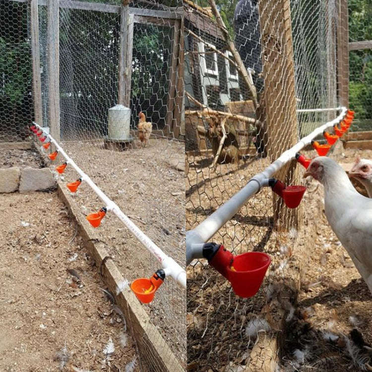 Adjustable Vreeding Equipment Export Type Drinking Bowl Poultry Drinker, Drinking Bowl Poultry Dr...