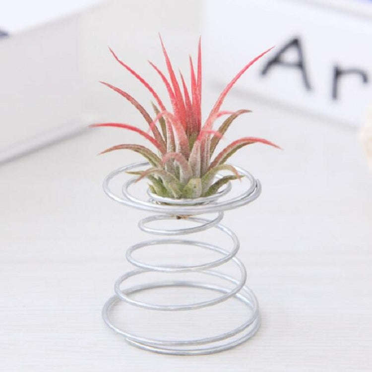 2 PCS Air Aluminum Wire Pineapple Rooting Holder Spring Base, Pineapple Rooting Holder