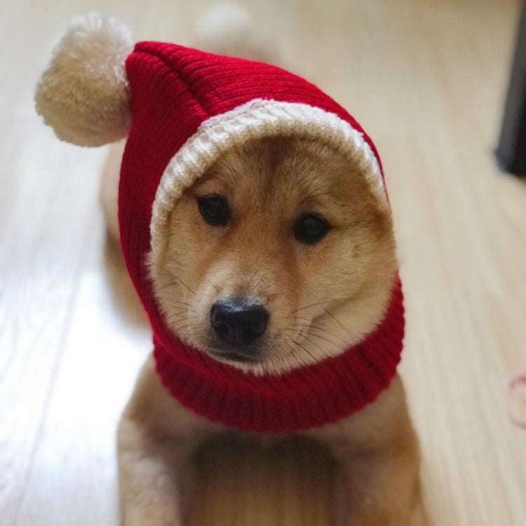 Pet Autumn & Winter Woolen Christmas Hat, XS, L, XL
