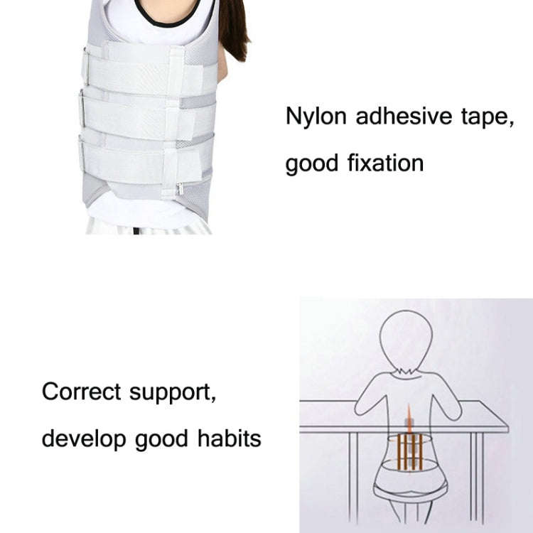Thoracolumbar Fixation Belt Strap Type Protective Gear with Airbag, Regular Style M, Regular Styl...