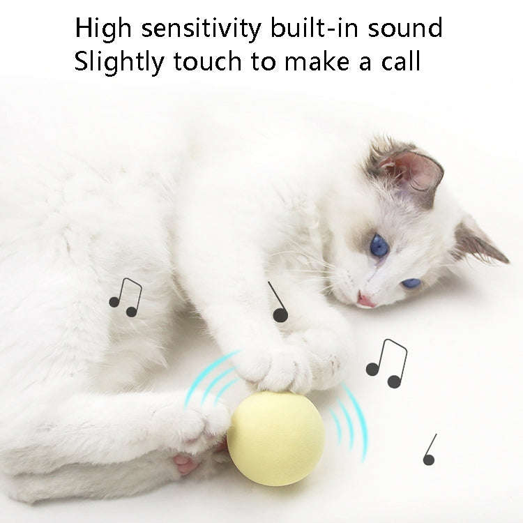 3pcs Funny Cat Toy Ball Simulation Animal Vocal Ball, EVA Material