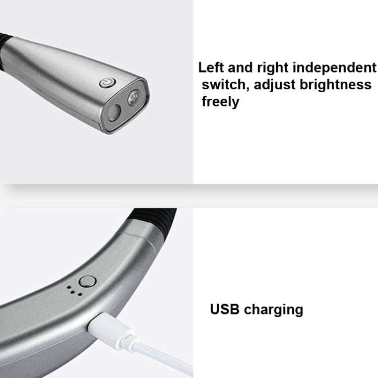 LED Hanging Neck Light Universal Hose Eye Protection Reading Light, Space Silver, Elegant Black