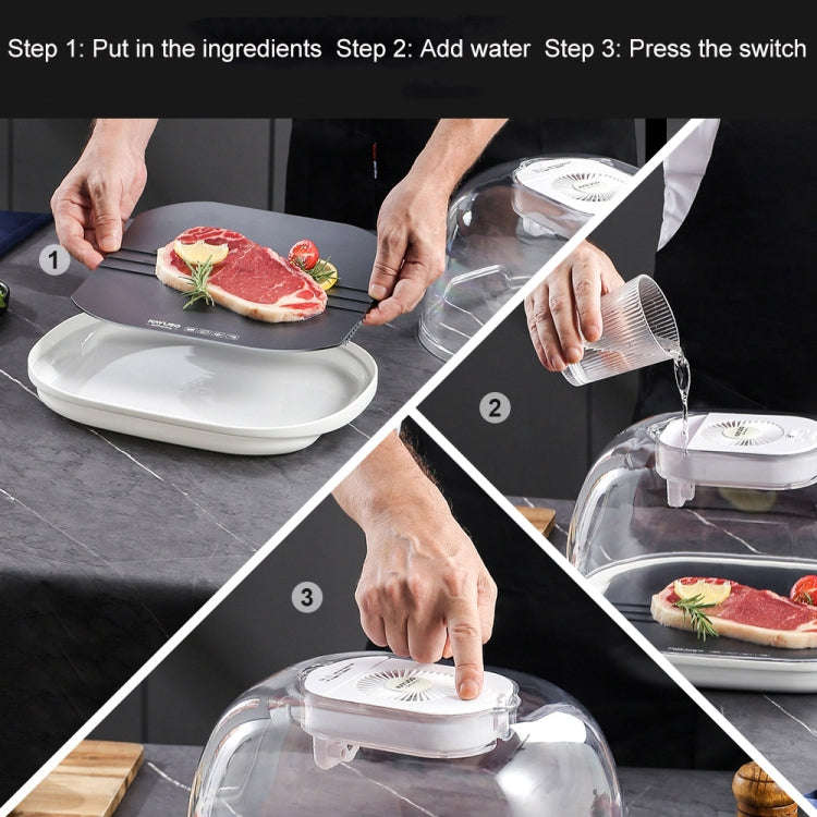 Frozen Food Quick Thaw Tray Thaw Plate, Quick Thaw Tray(Gray), Quick Thaw Tray(Golden)