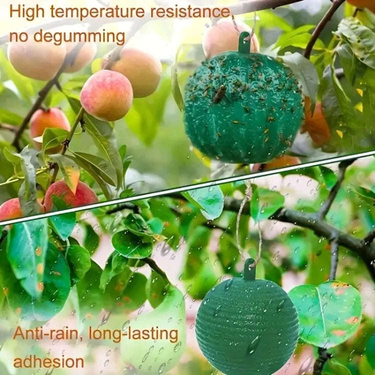 Outdoor Fruit Fly Mosquito Citrus Trap Sticky Ball, Green
