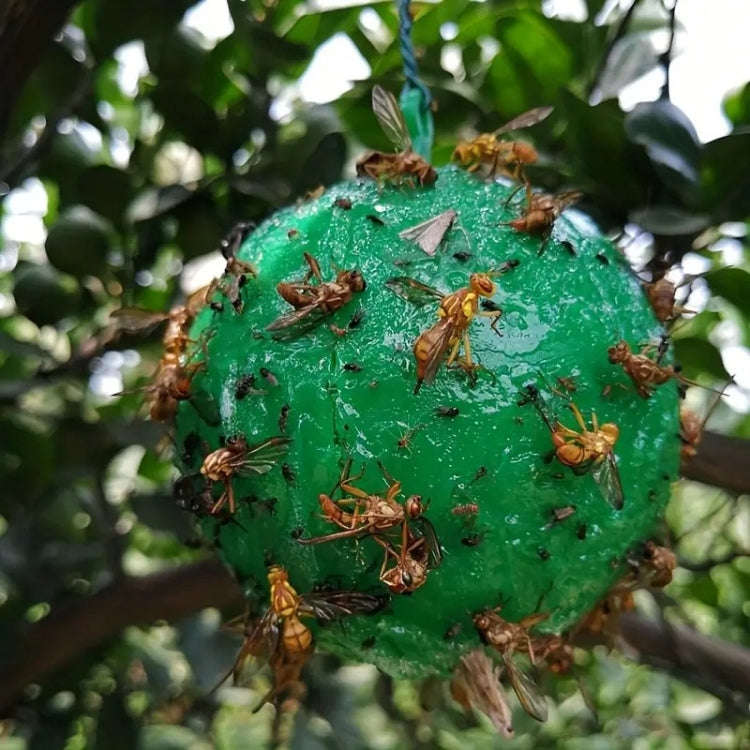 Outdoor Fruit Fly Mosquito Citrus Trap Sticky Ball, Green