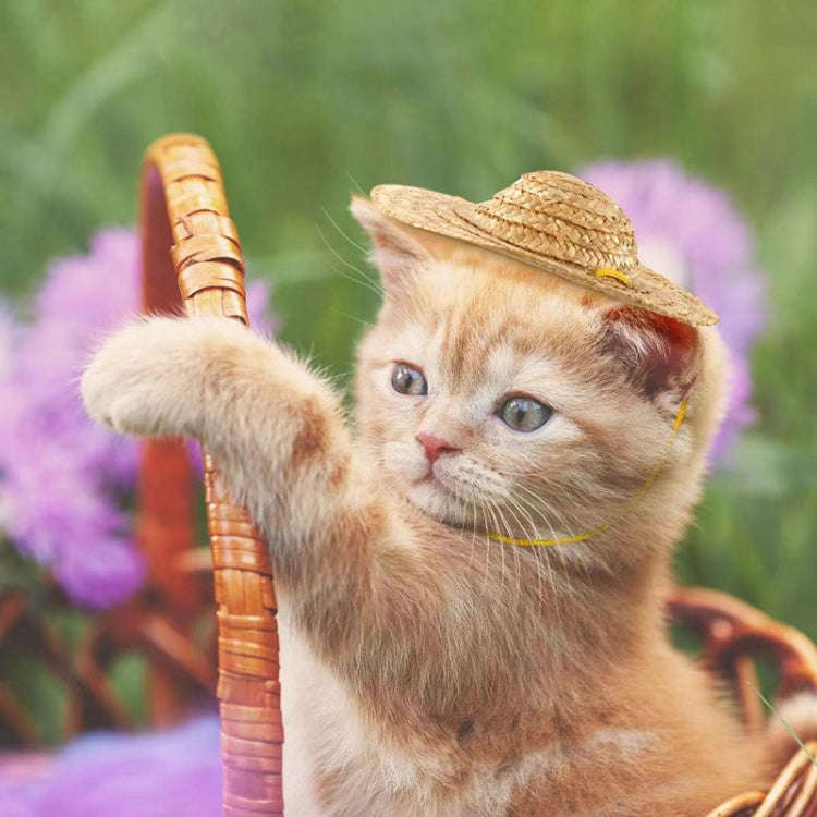 Mini Pet Straw Hat Cat Dog Birthday Party Sun Visor Hat, S 10cm, M 13cm, L 16cm, XL 20cm