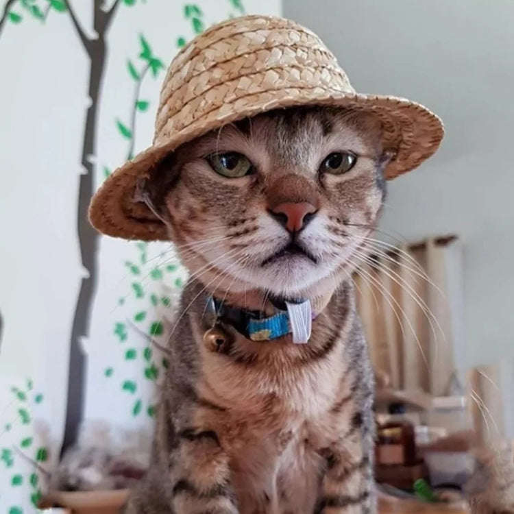 Mini Pet Straw Hat Cat Dog Birthday Party Sun Visor Hat, S 10cm, M 13cm, L 16cm, XL 20cm