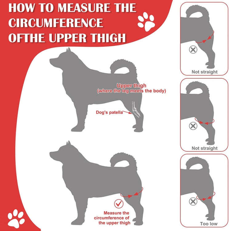 Dog Leg Fracture Protection Injury Support Belt, S, M, L, XL