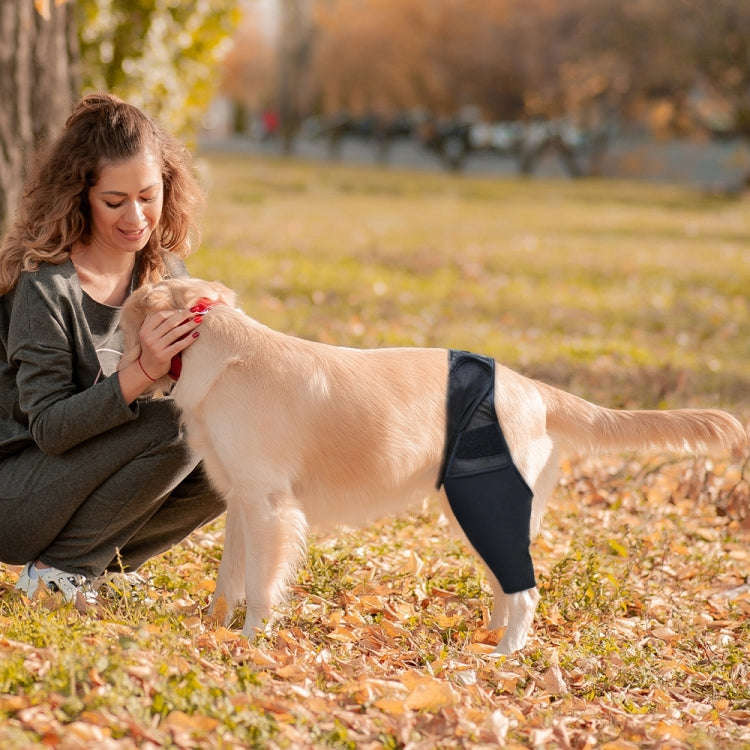 Dog Leg Fracture Protection Injury Support Belt, S, M, L, XL